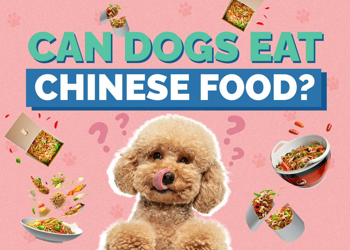 Can Dogs Eat Chinese Food? Vet-Verified Facts & Risks