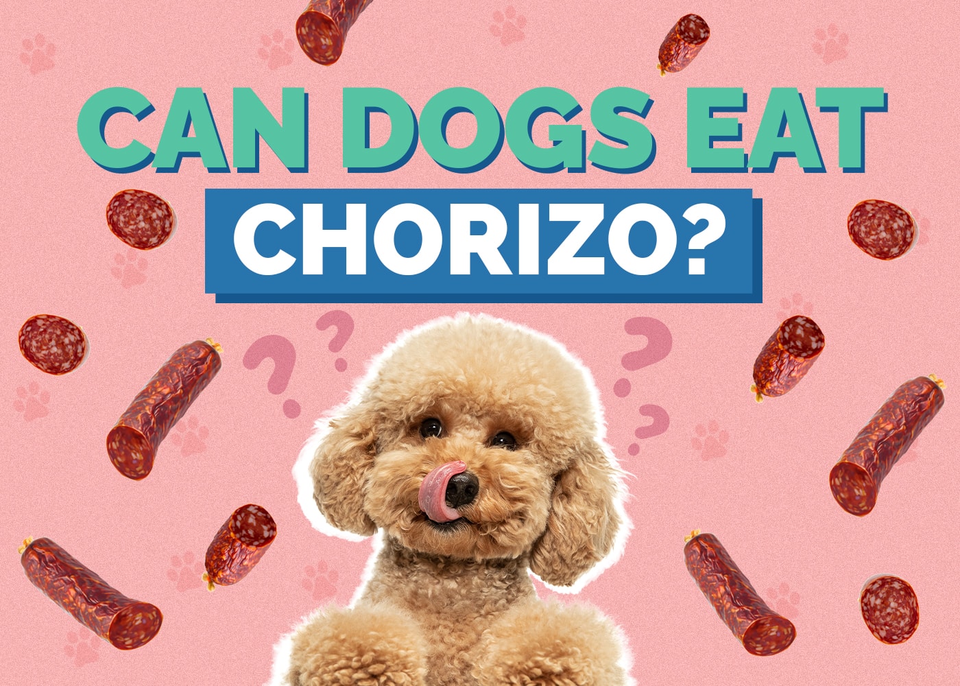 Can Dogs Eat Chorizo? Keep Your Dog Healthy!