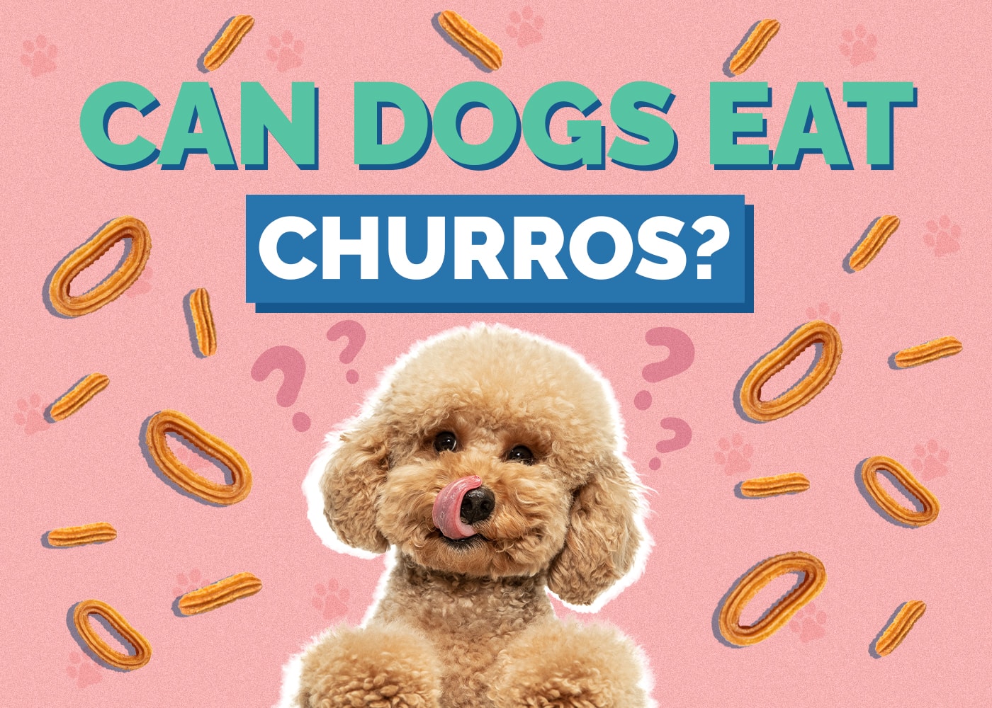 Can Dogs Eat Churros? Vet-Approved Facts