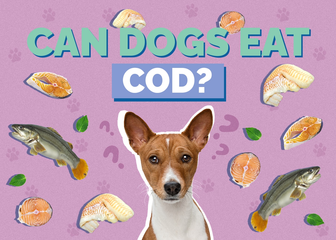 Can Dogs Eat Cod? Vet Reviewed Nutrition Facts & FAQ