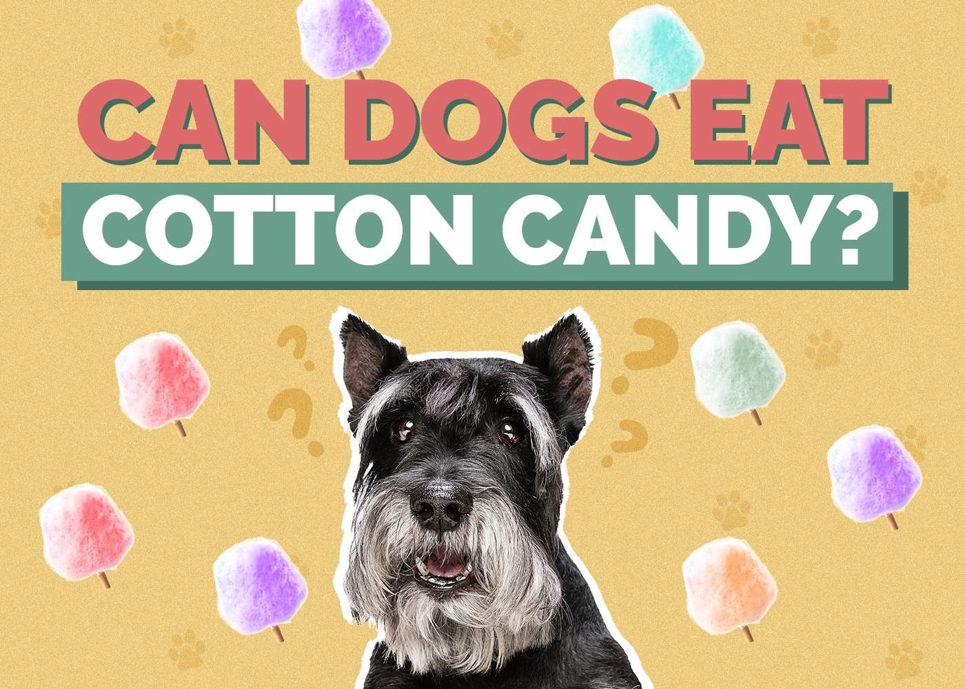 Can Dogs Eat Cotton Candy? (Vet Reviewed Facts)
