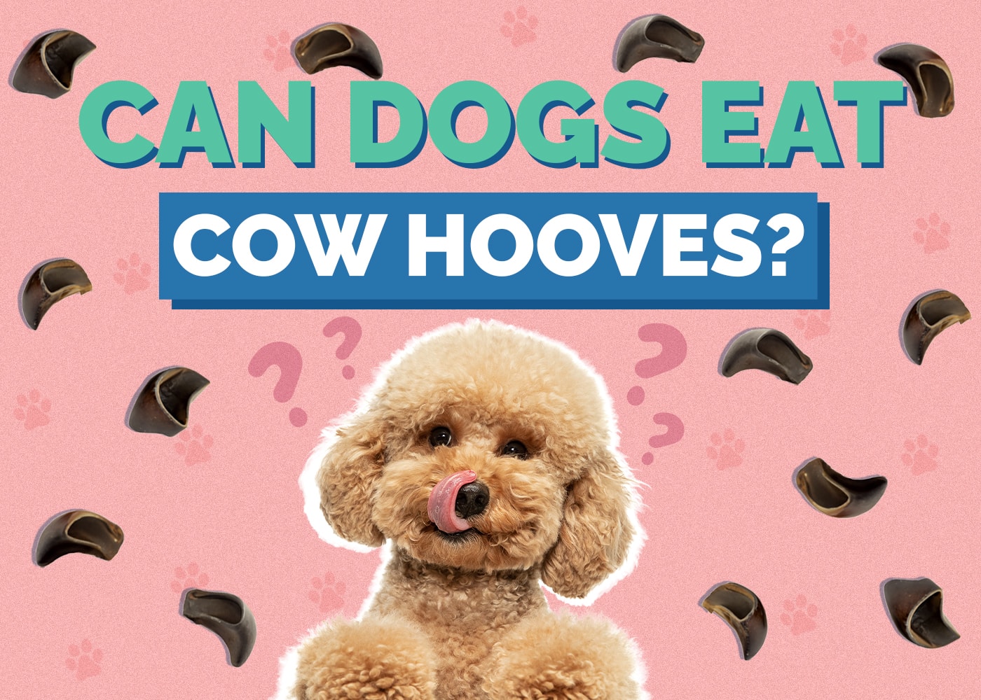 Can Dogs Eat Cow Hooves? Vet Reviewed Facts & FAQ