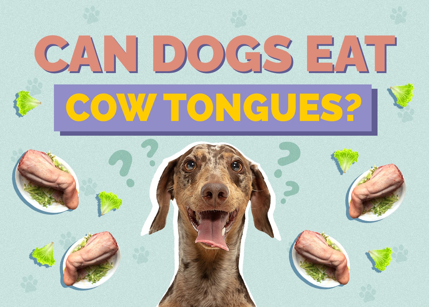 Can Dogs Eat Cow Tongues? Vet-Reviewed Health Concerns