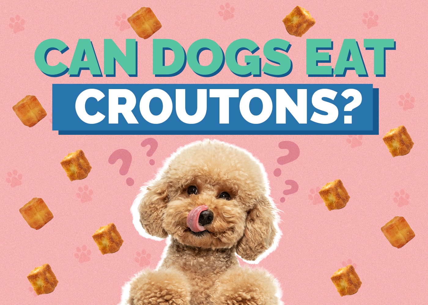 Can Dogs Eat Croutons? Vet Reviewed Facts & FAQ