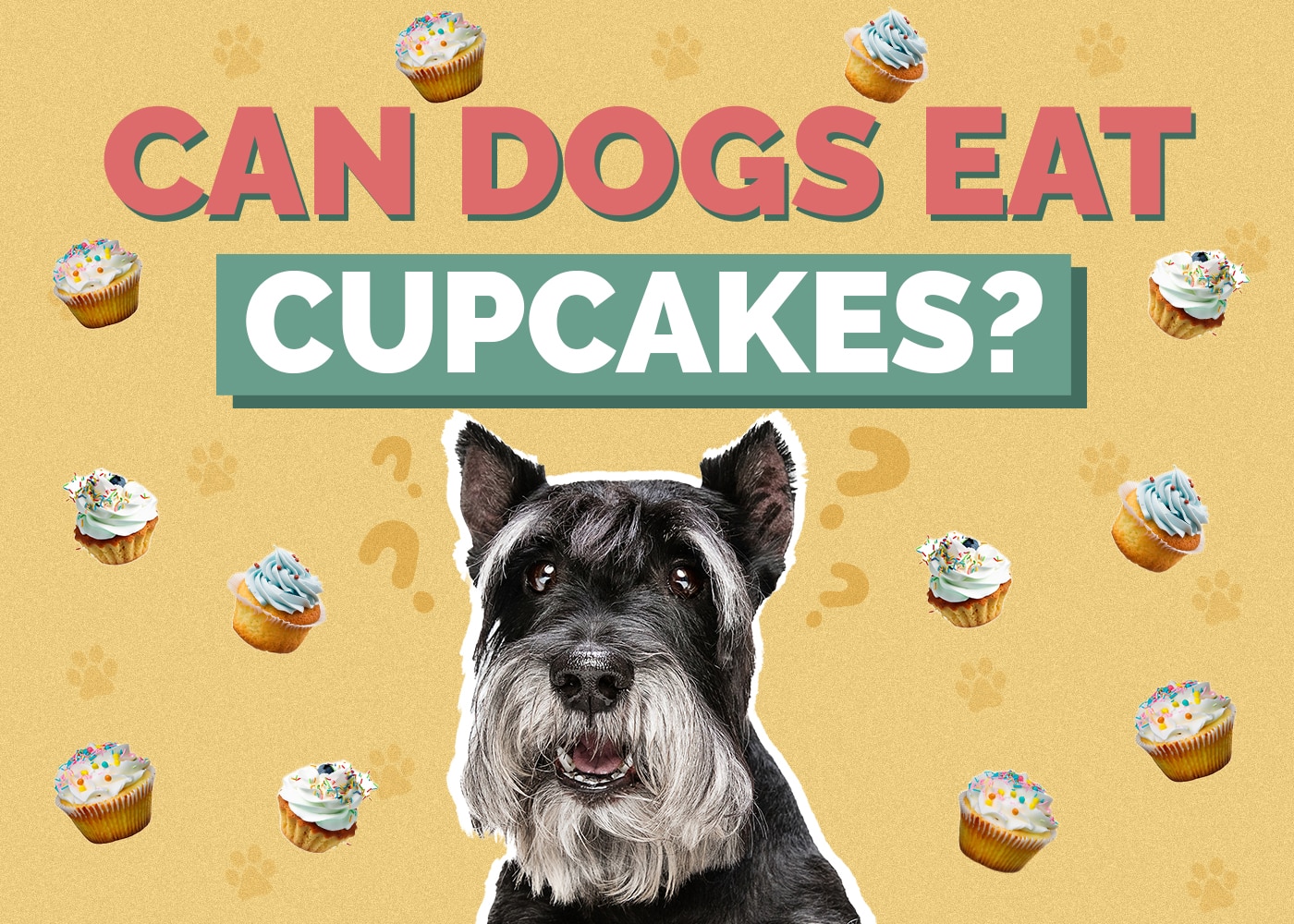 Can Dogs Eat Cupcakes? Vet Reviewed Facts & Advice
