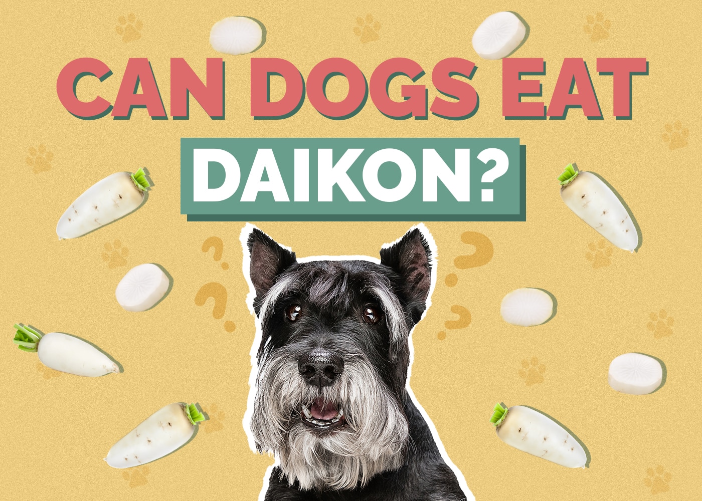 Can Dogs Eat Daikon? Vet Reviewed Facts & FAQ