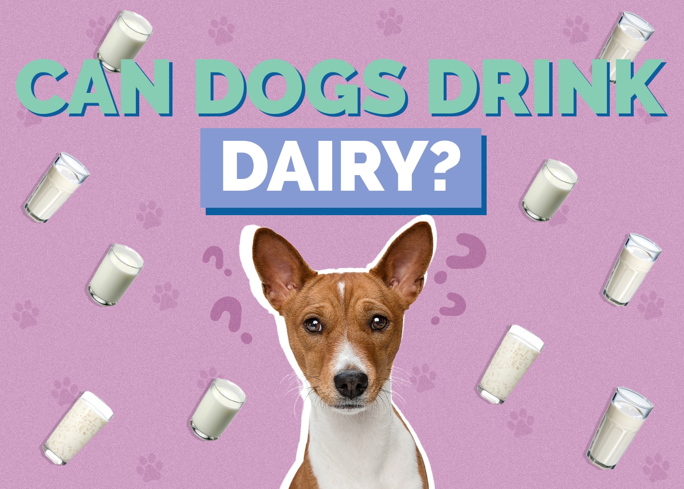 Can Dogs Eat Dairy? Vet Reviewed Facts & FAQ