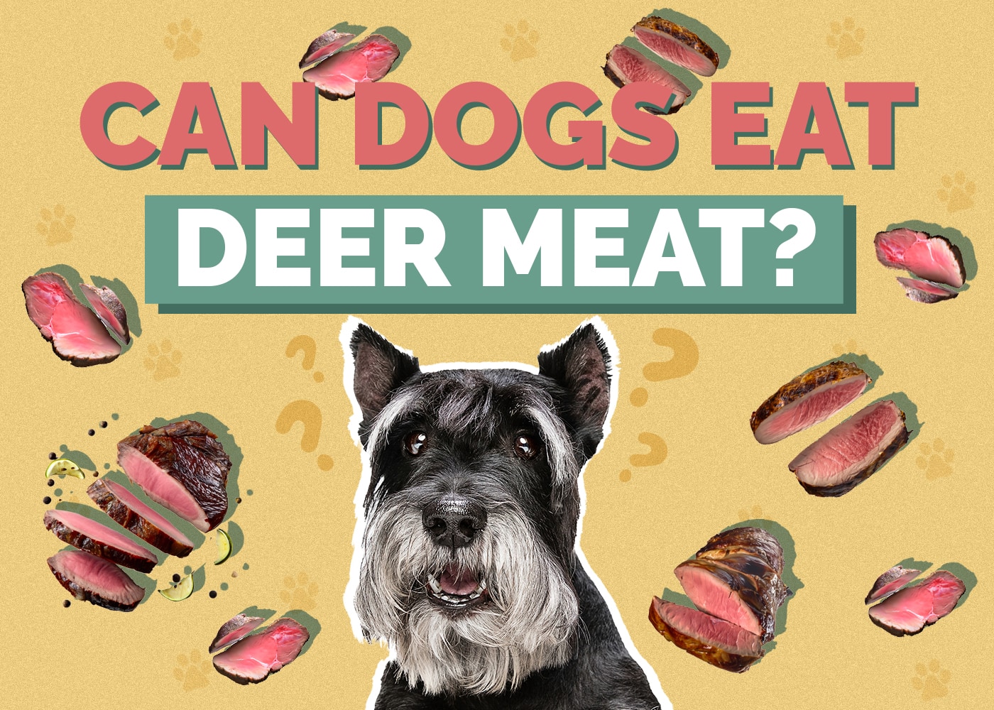 Can Dogs Eat Deer Meat? Vet Reviewed Facts & FAQ