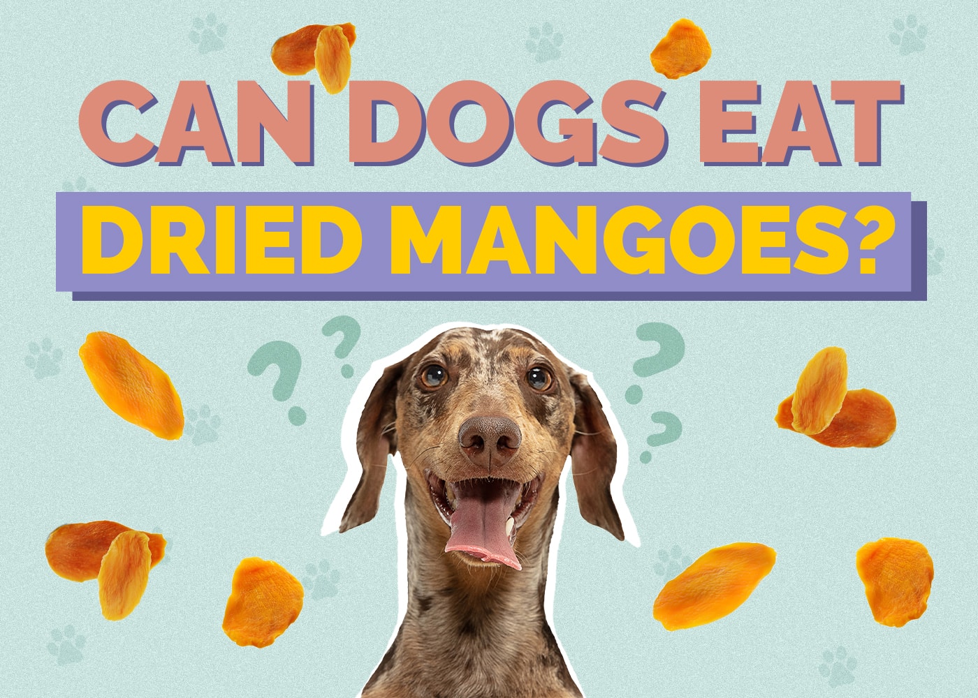 Can Dogs Eat Dried Mangos? Vet-Verified Nutrition Facts & FAQ