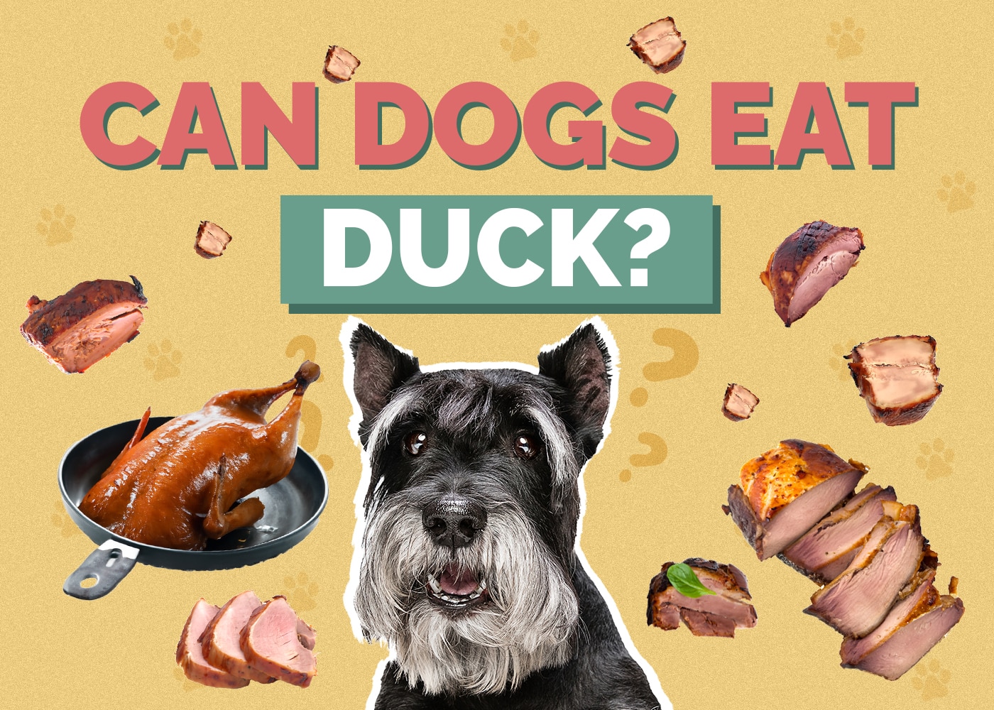 Can Dogs Eat Duck? Vet Reviewed Facts & FAQ