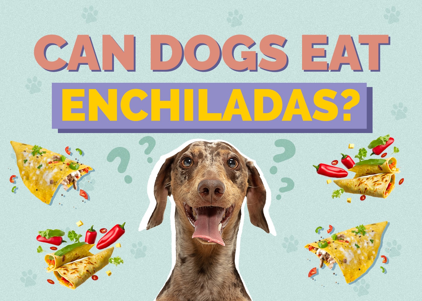Can Dogs Eat Enchiladas? Vet-Reviewed Nutrition Facts & FAQ