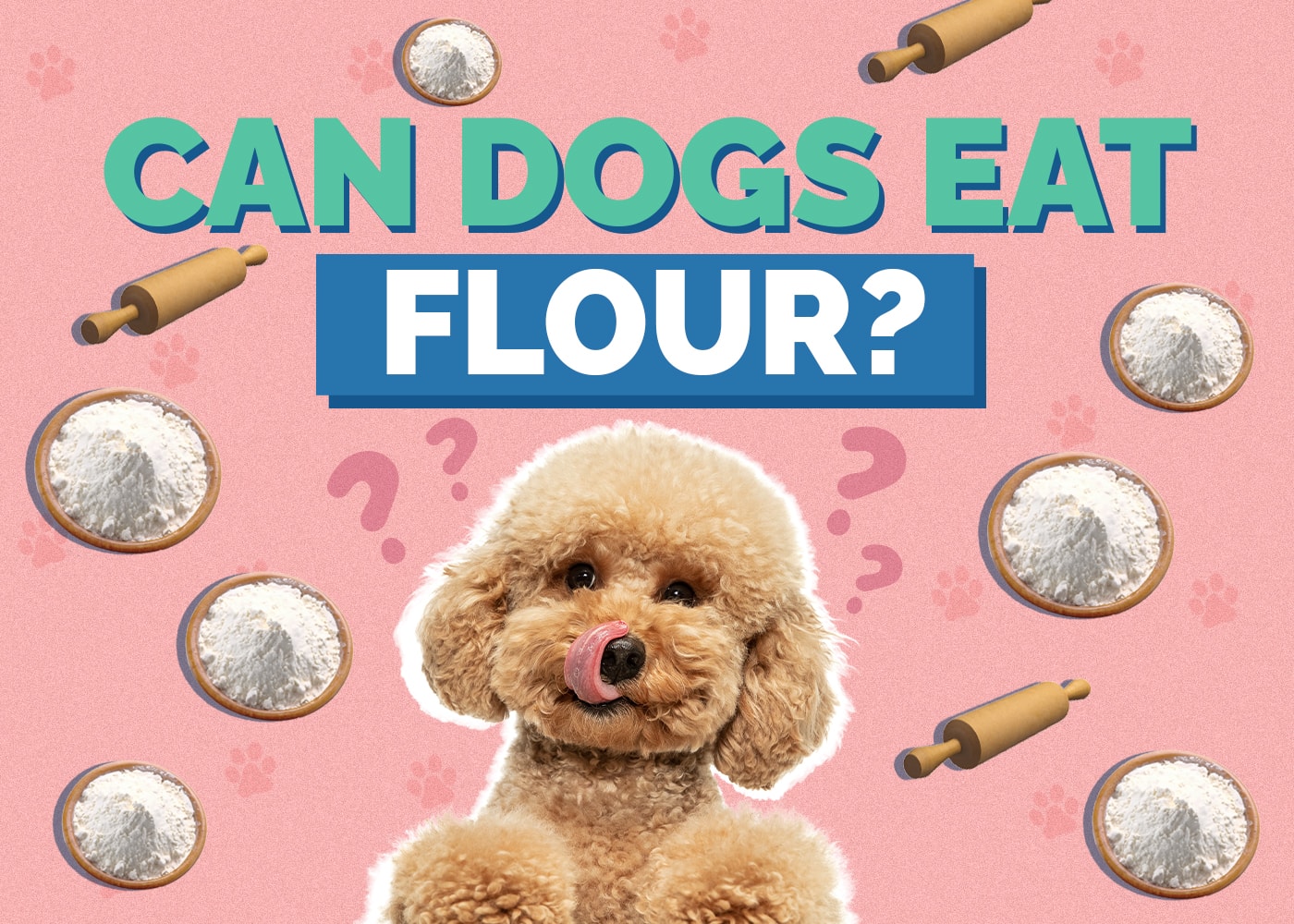 Can Dogs Eat Flour? Vet Approved Facts & FAQ