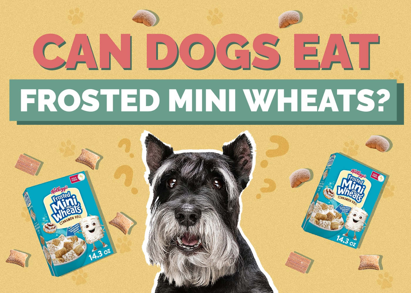 Can Dogs Eat Frosted Mini-Wheats? Vet Reviewed Facts & FAQ