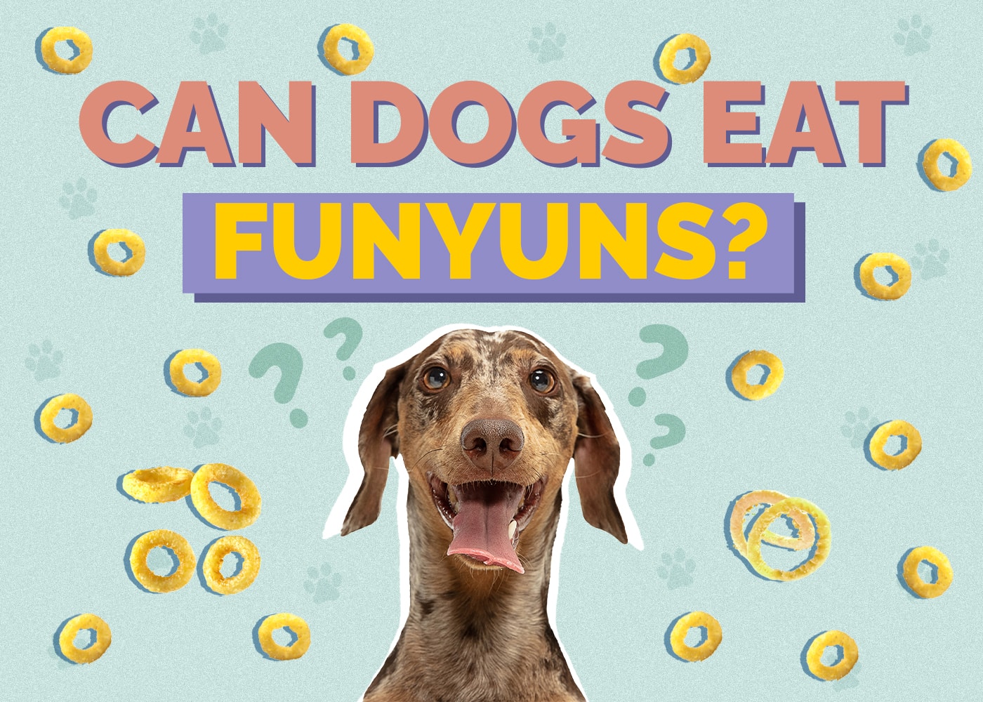 Can Dogs Eat Funyuns? What the Science Says