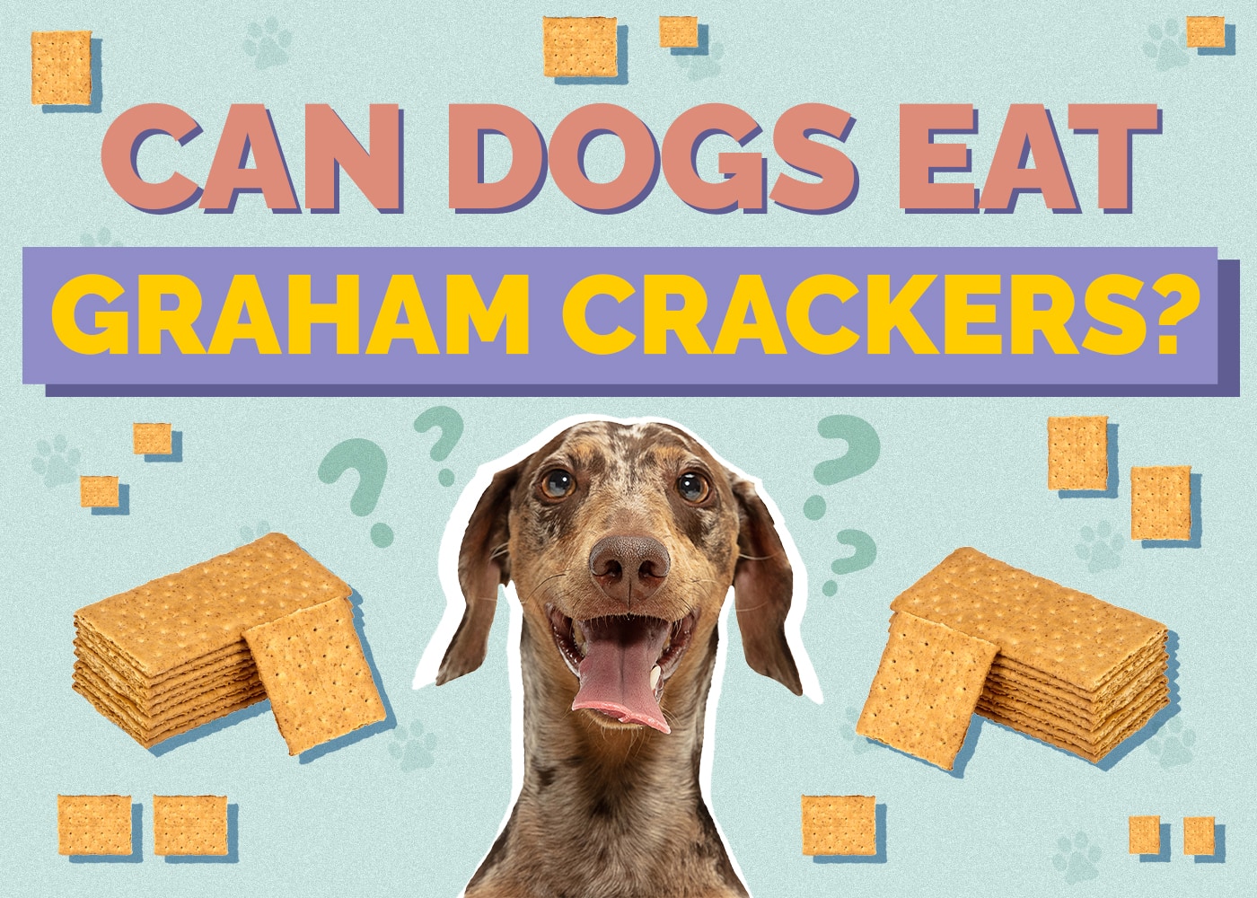 Can Dogs Eat Graham Crackers? Nutrition Facts & Safety Guide