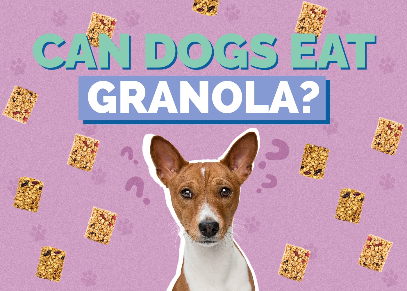 Can Dogs Eat Granola? Vet Reviewed Nutrition Facts & Safety Guide