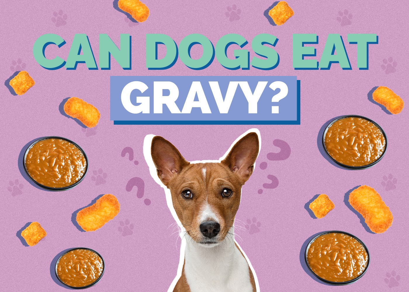Can Dogs Eat Gravy? Vet Reviewed Facts & FAQ