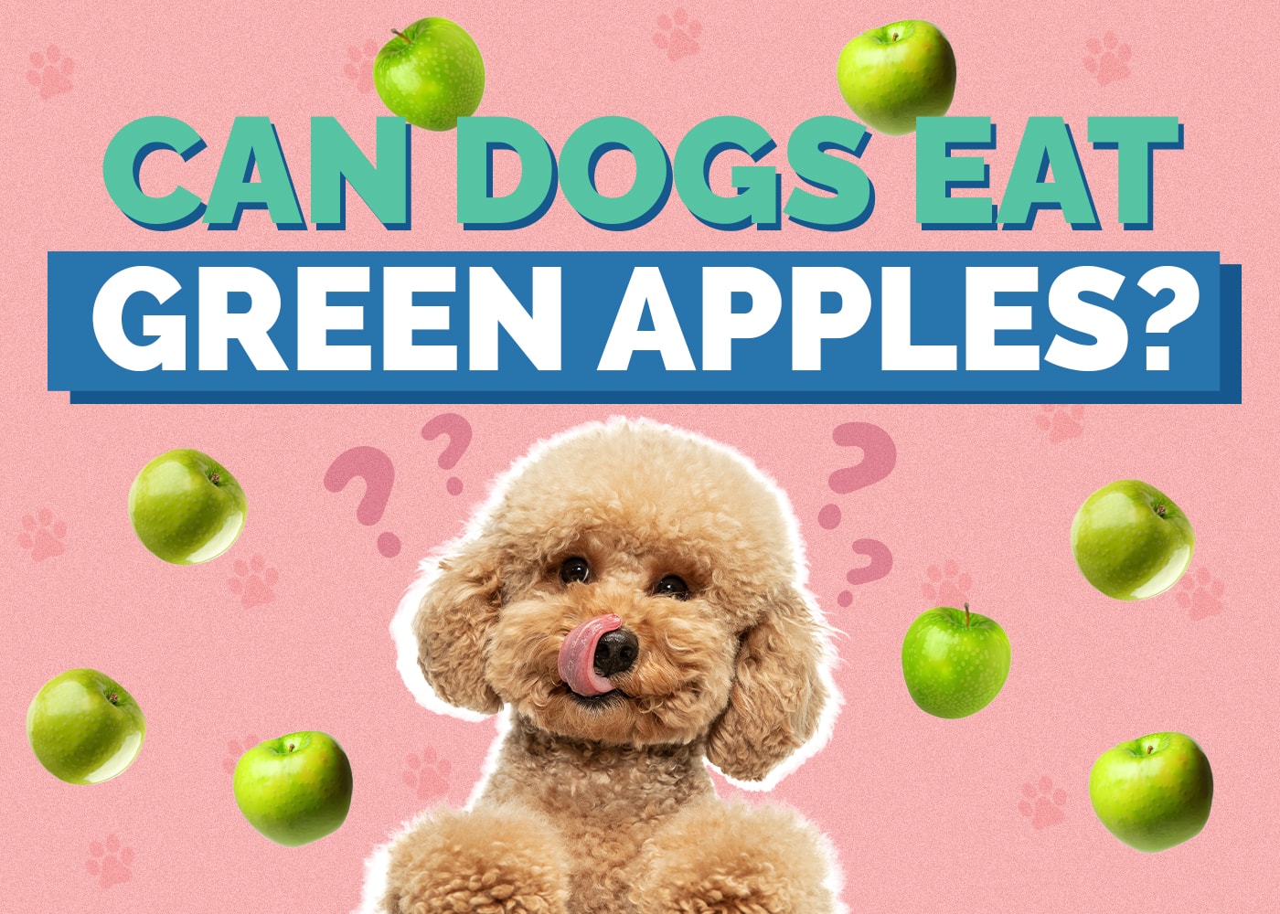 Can Dogs Eat Green Apples? Vet Reviewed Nutrition Facts & FAQ