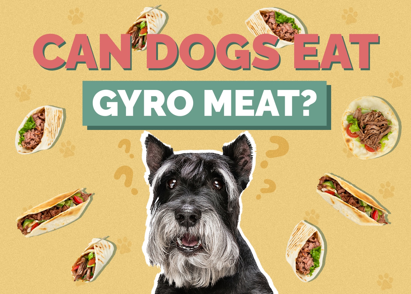 Can Dogs Eat Gyro Meat? Vet Reviewed Dietary Guidance