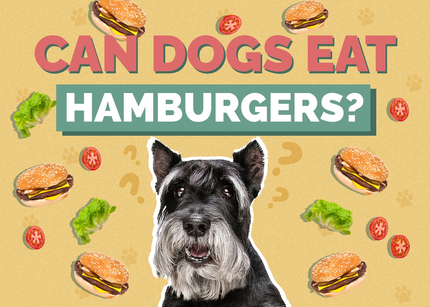 Can Dogs Eat Hamburgers? Vet Reviewed Facts & Tips