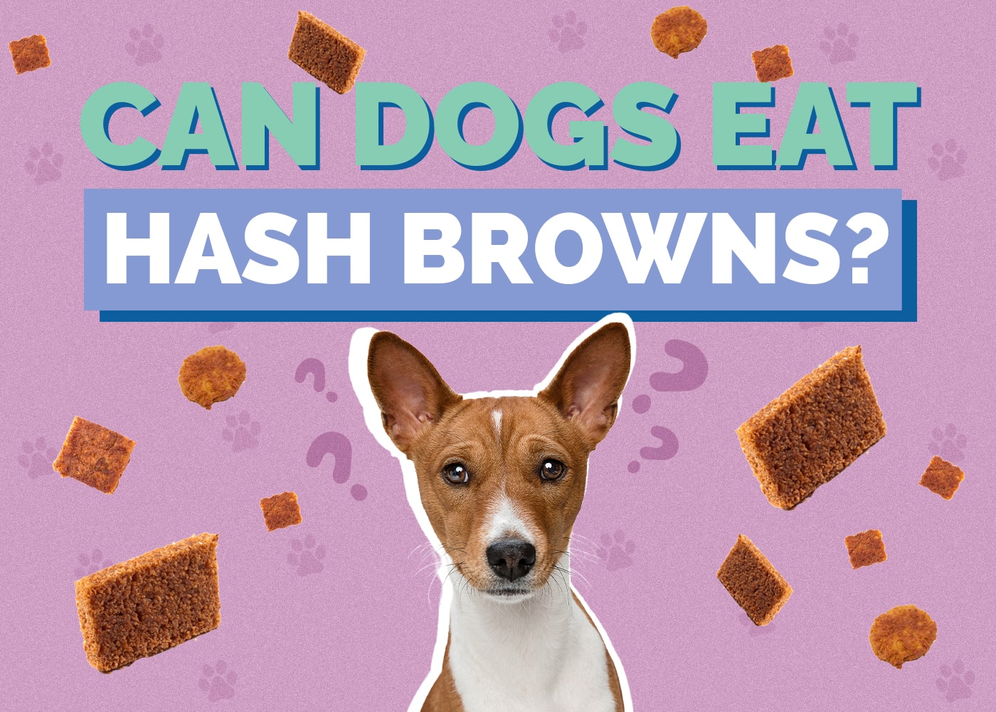 Can Dogs Eat Hash Browns? Vet Approved Fact & FAQs