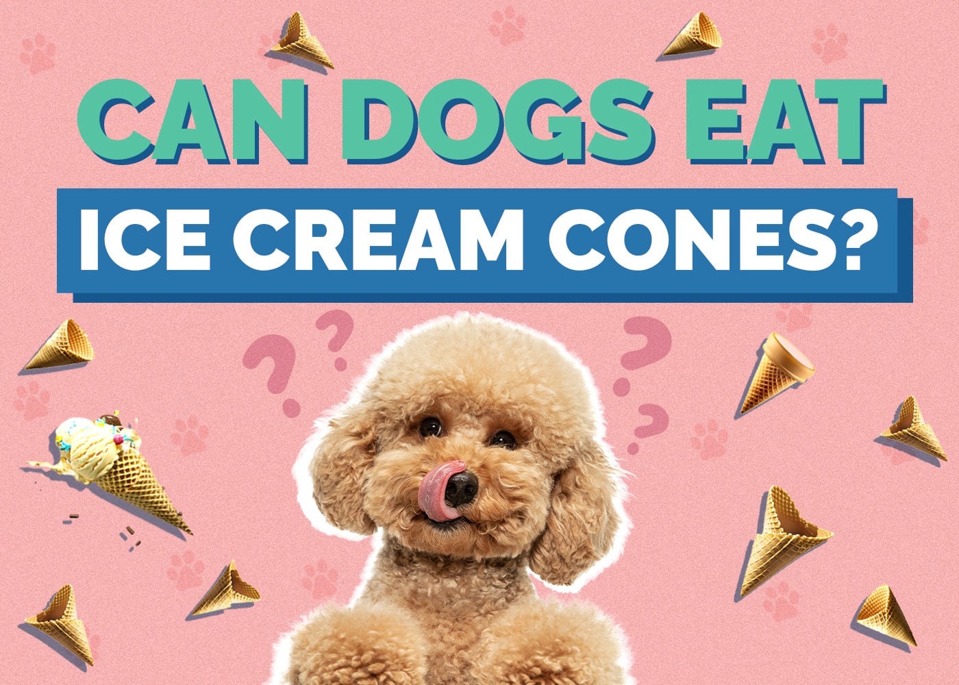 Can Dogs Eat Ice Cream Cones? Vet-Reviewed Risks & Alternatives