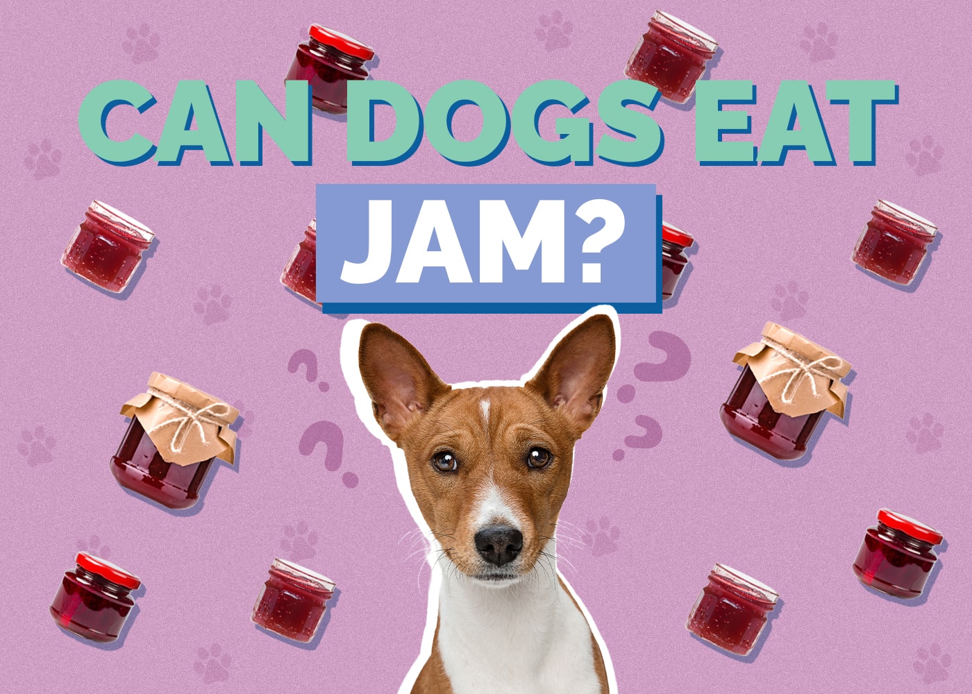 Can Dogs Eat Jam? Vet Reviewed Facts & FAQ