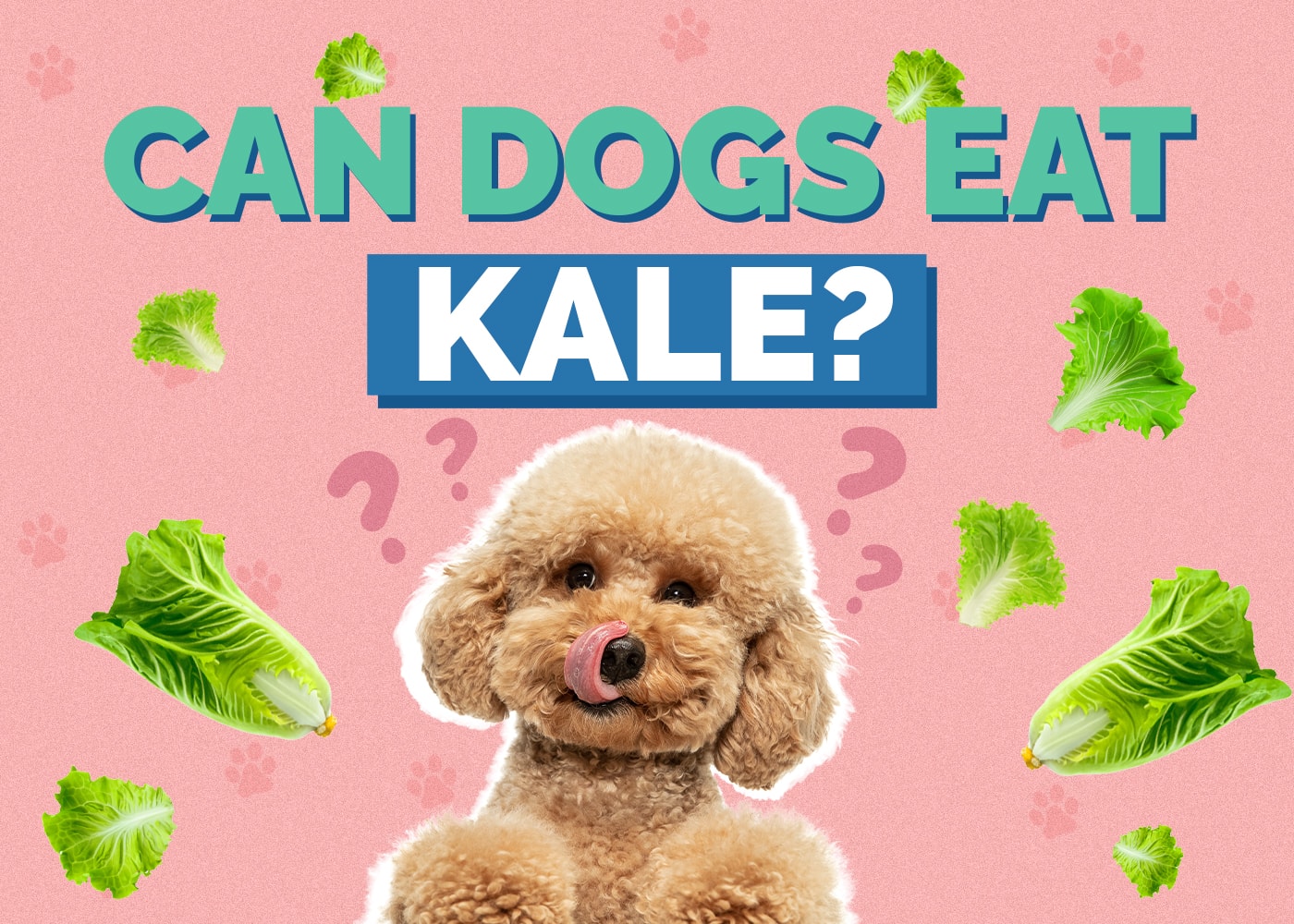 Can Dogs Eat Kale? Vet Approved Facts & FAQ