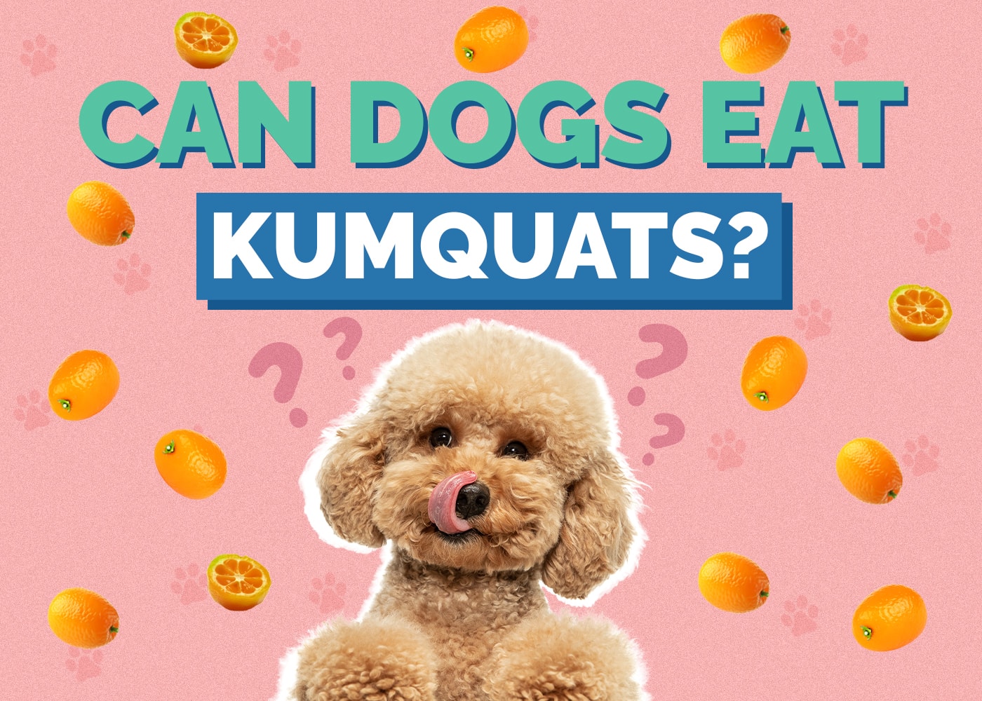 Can Dogs Eat Kumquats? Vet Reviewed Facts & FAQ