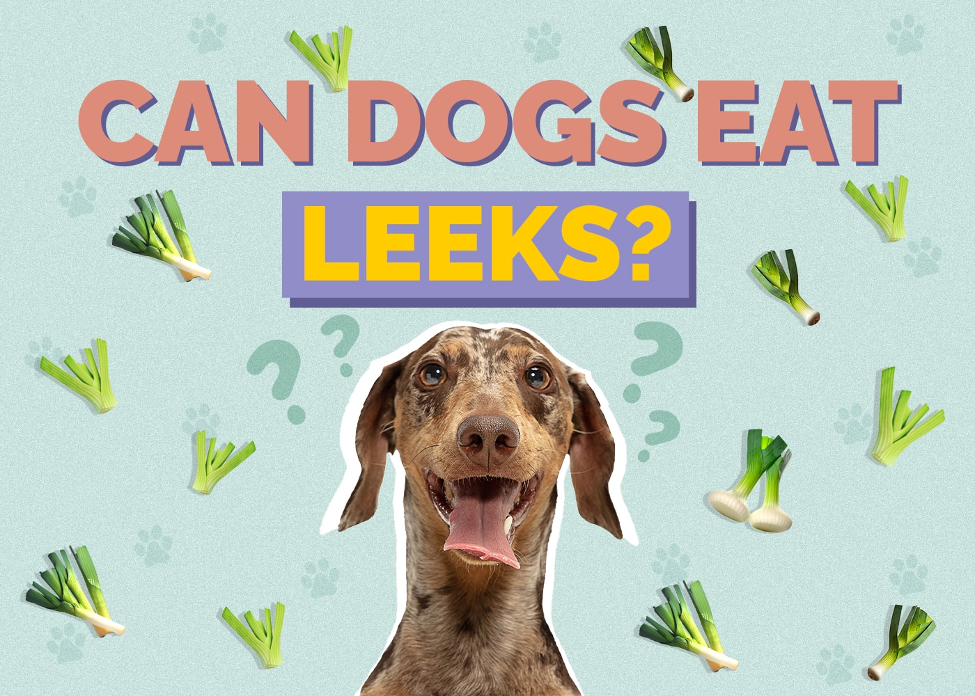 Can Dogs Eat Leeks? Vet Reviewed Nutrition & Facts