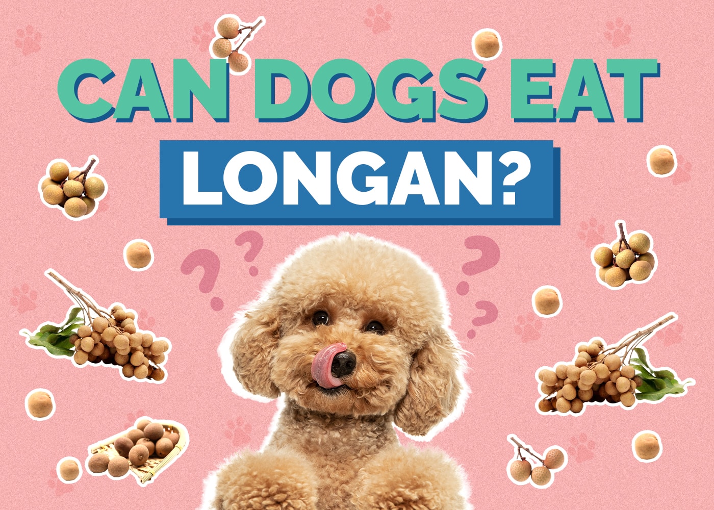 Can Dogs Eat Longan? Vet-Approved Health & Nutrition Guide