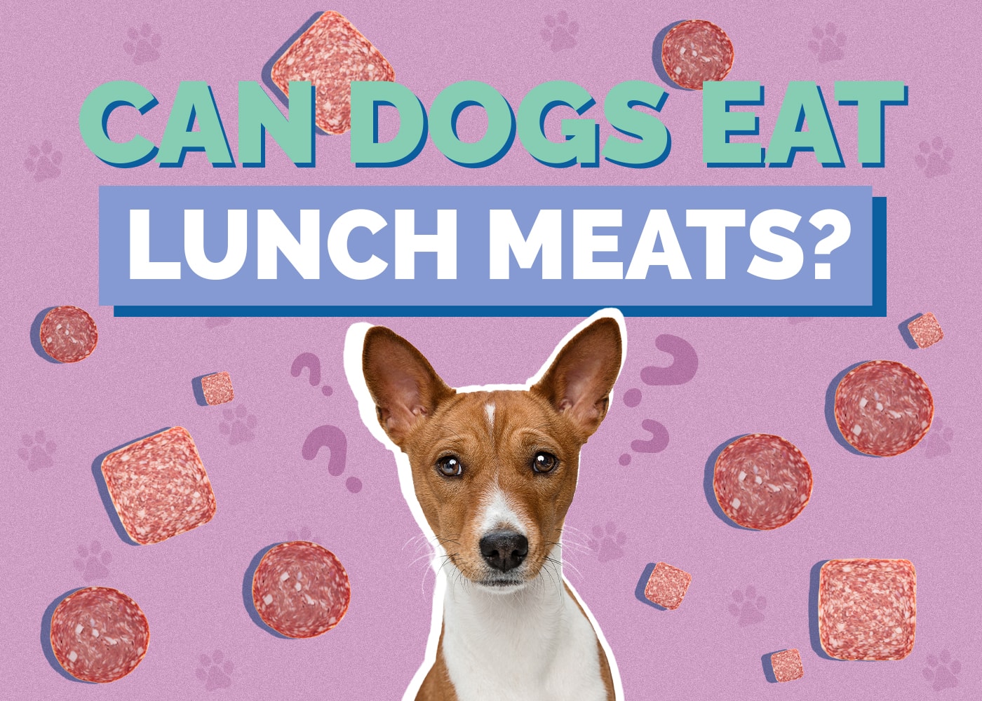 Can Dogs Eat Lunch Meats? What Our Vets Say