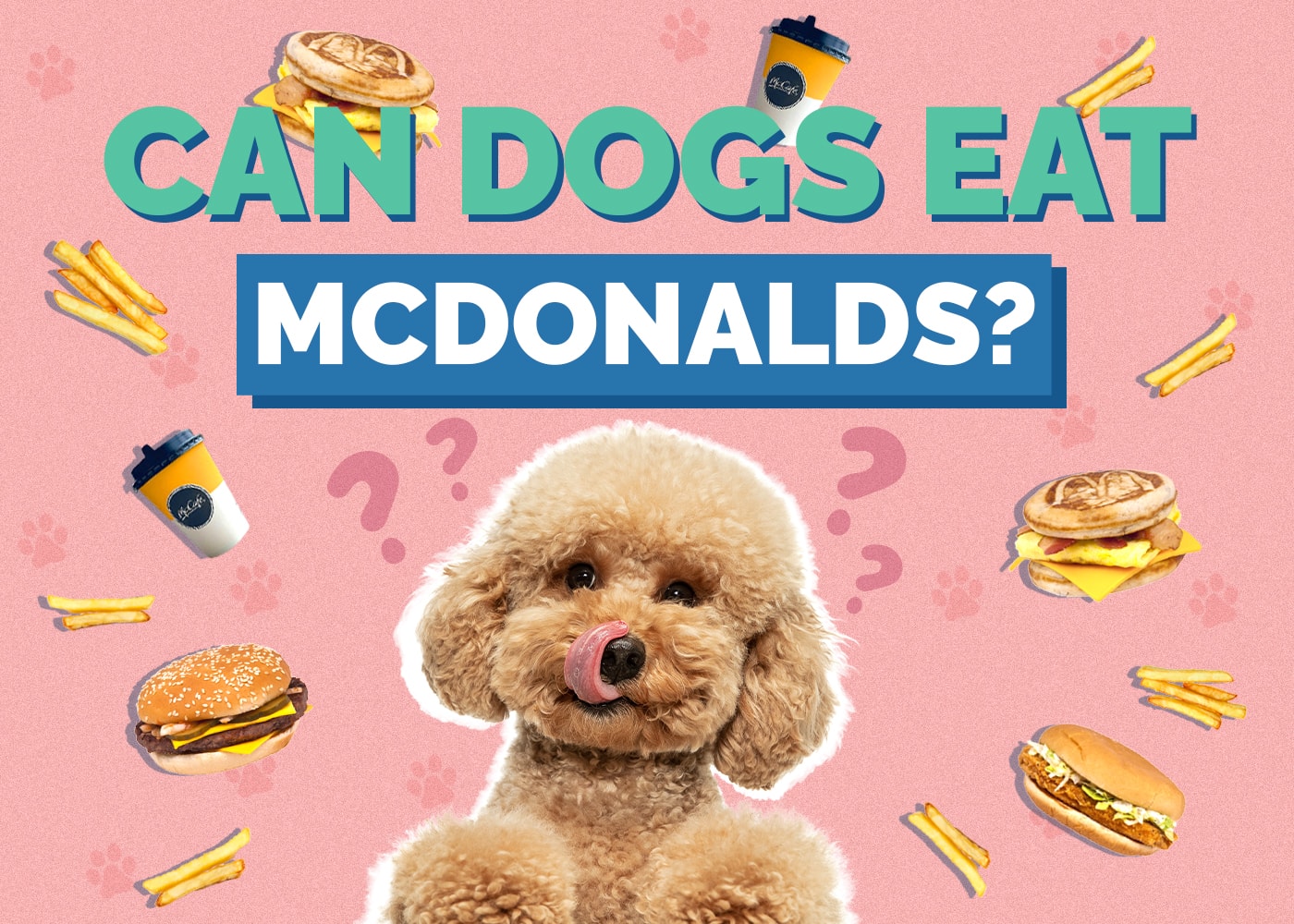 Can Dogs Eat McDonald’s? Vet Reviewed Nutrition Facts & FAQ