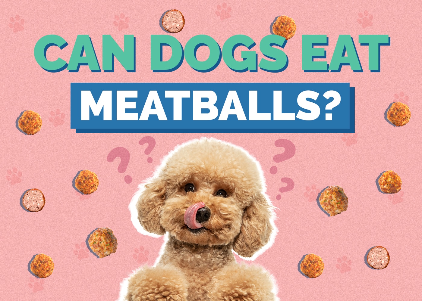 Can Dogs Eat Meatballs? Vet Approved Facts & FAQ