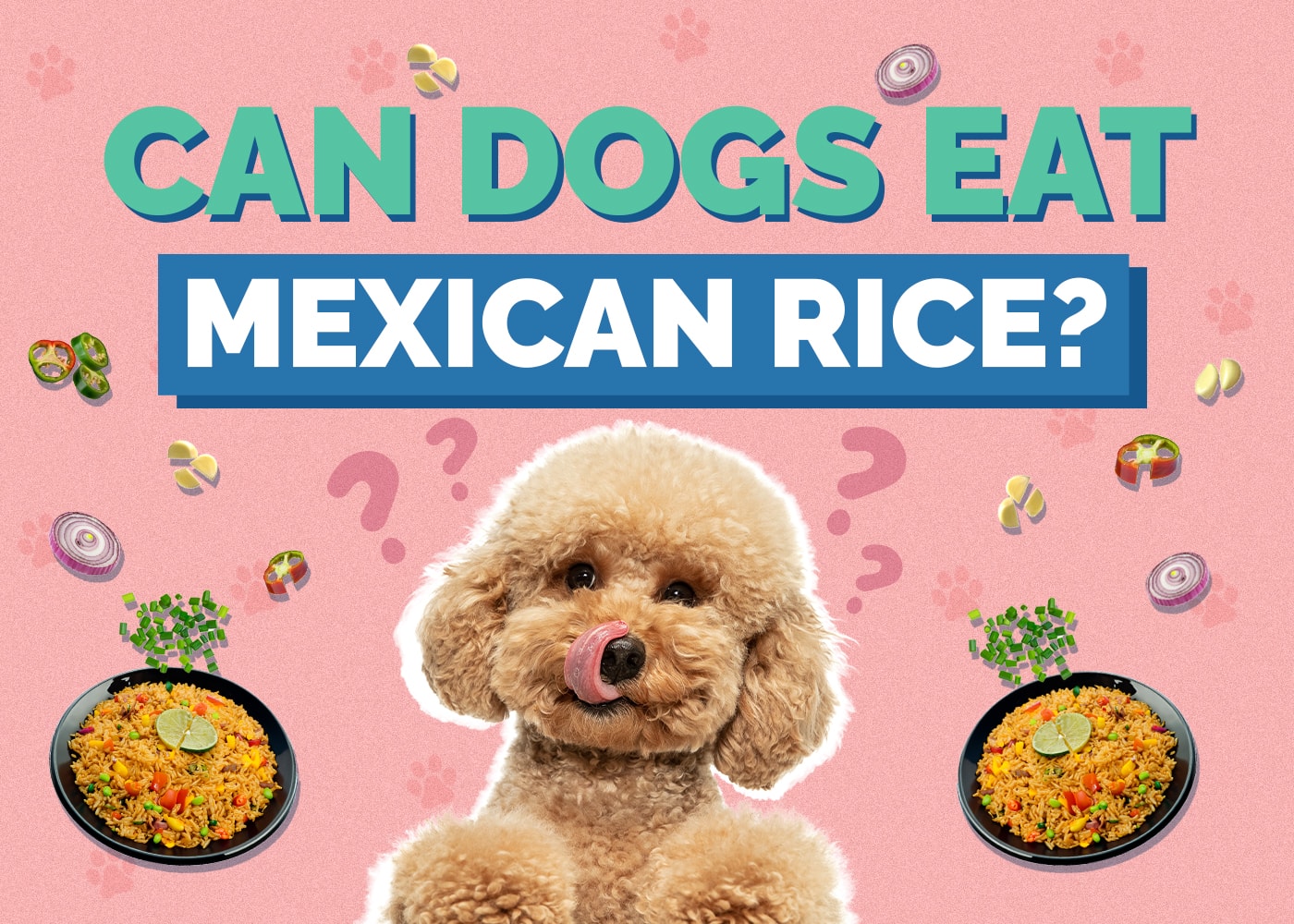 Can Dogs Eat Mexican Rice? Vet-Reviewed Facts & FAQ
