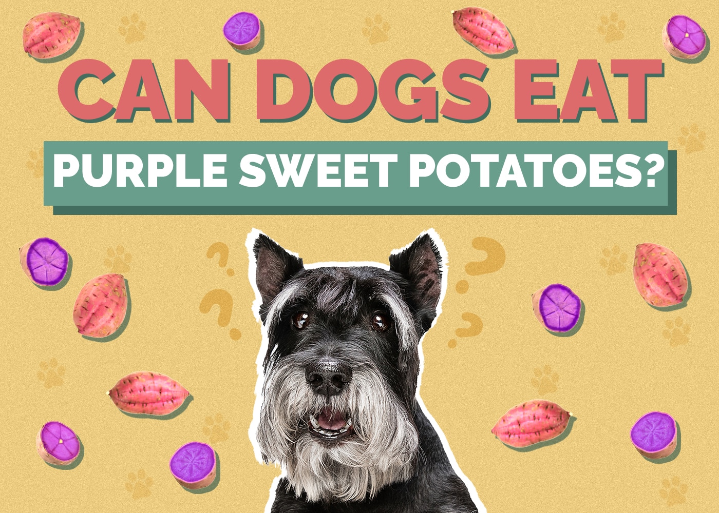 Can Dogs Eat Purple Sweet Potatoes? Vet Approved Nutrition Advice
