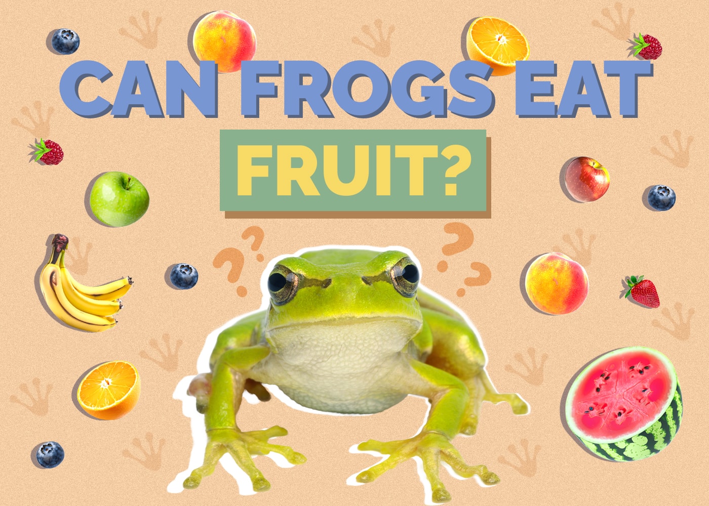 Can Frogs Eat Fruit? Vet Approved Nutrition Advice