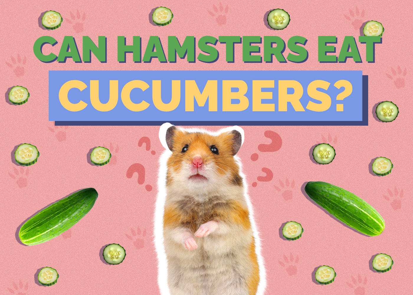 Can Hamsters Eat Cucumbers? Vet-Verified Nutrition Facts & FAQ