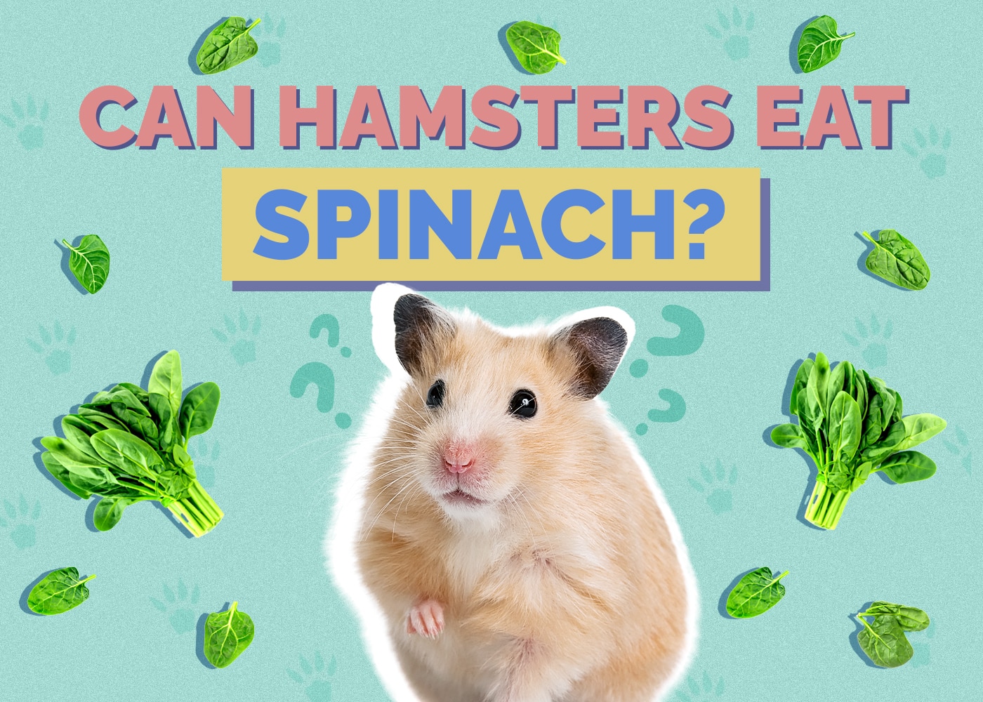 Can Hamsters Eat Spinach? Vet-Reviewed Facts & FAQ