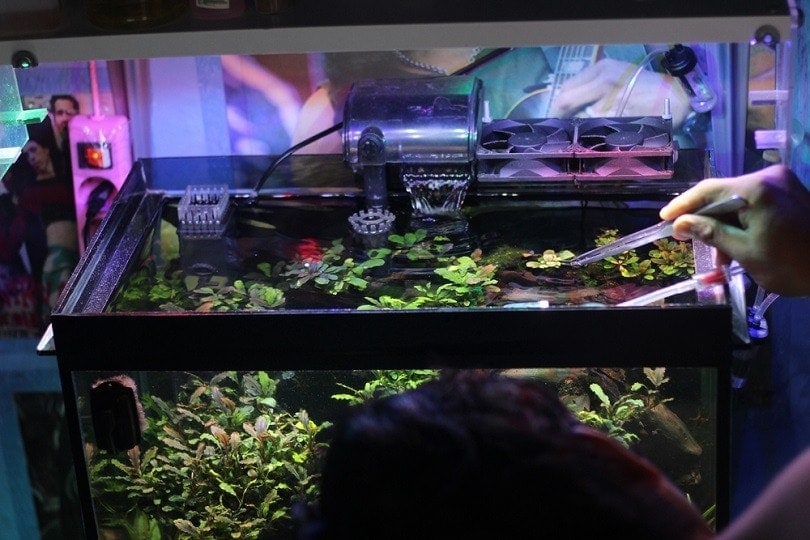 How Long Does it Take to Dechlorinate Water? Methods & Tips