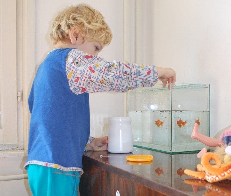 6 Best Self-Cleaning Goldfish Tanks in 2026 - Reviews & Top Picks