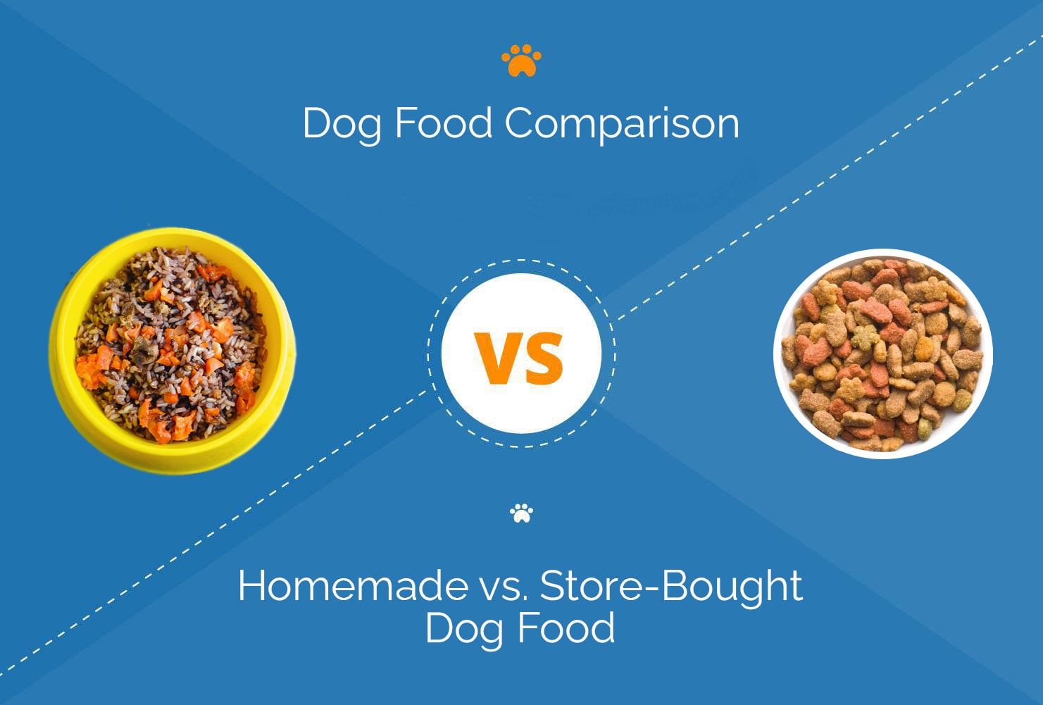 Homemade Dog Food vs Store Bought: Vet-Verified Differences, Pros & Cons