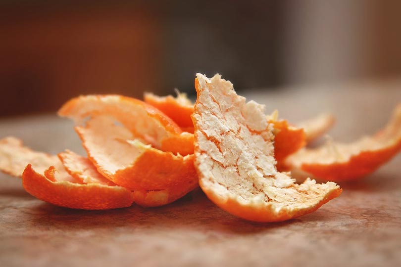 Do Orange Peels Keep Cats Away? Vet-Reviewed Pros, Cons & Alternatives