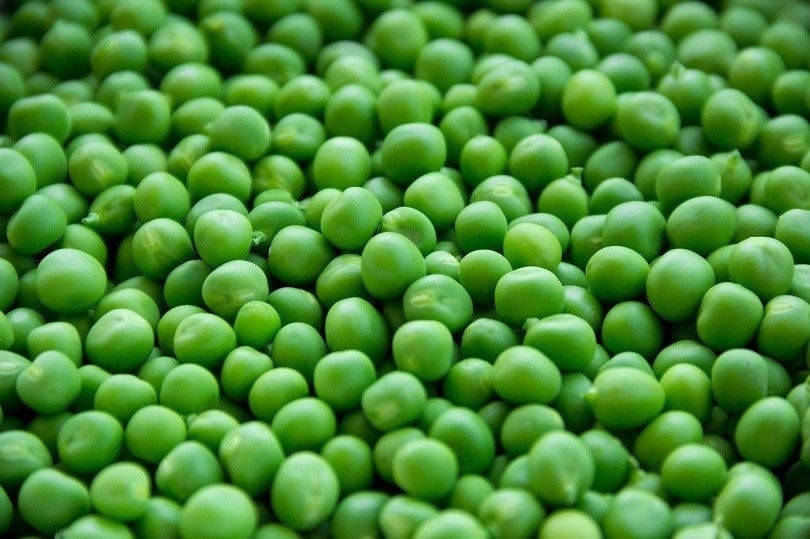 How to Feed Goldfish Peas: Methods & Benefits