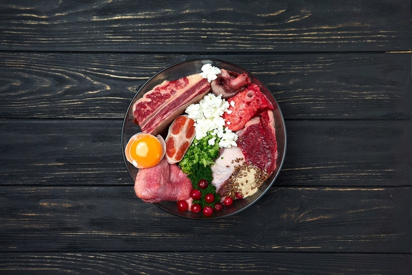 What Is Raw Dog Food? Benefits, Cons & FAQ