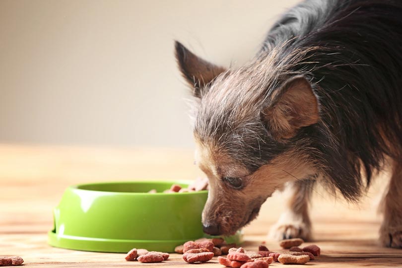 12 Best Dog Foods for Seniors - 2026 Reviews & Top Picks