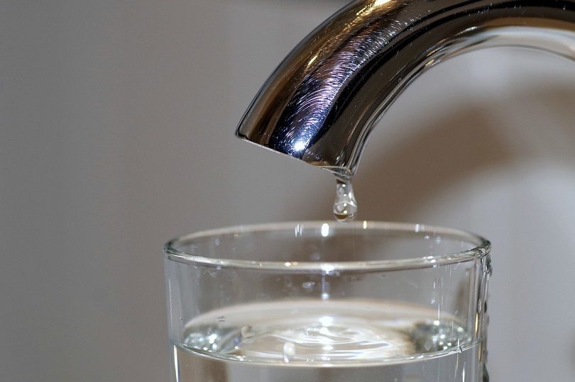 Can Goldfish Live in Tap Water? Vet-Reviewed Health Risks & FAQ