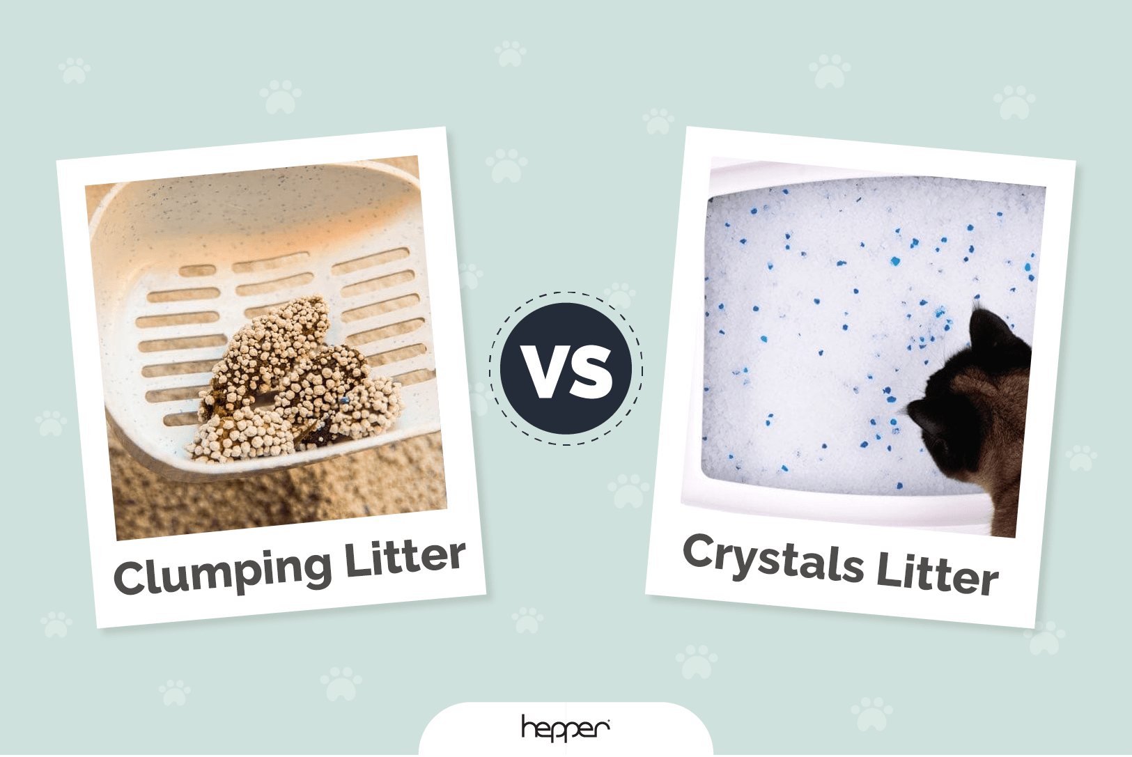 Clumping Litter vs. Crystals: Which One Is Better for My Cat? Vet-Reviewed Facts