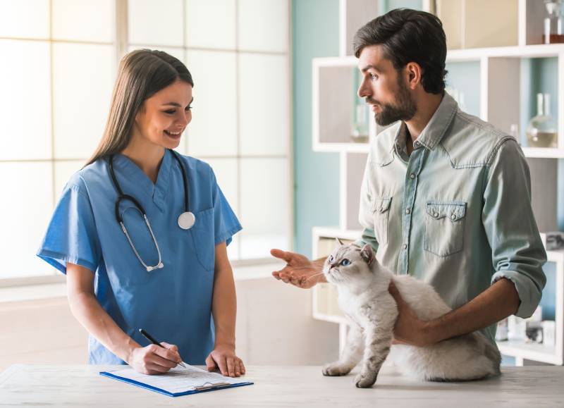 Preventive Care for Cats: A Vet-Approved Healthcare Guide