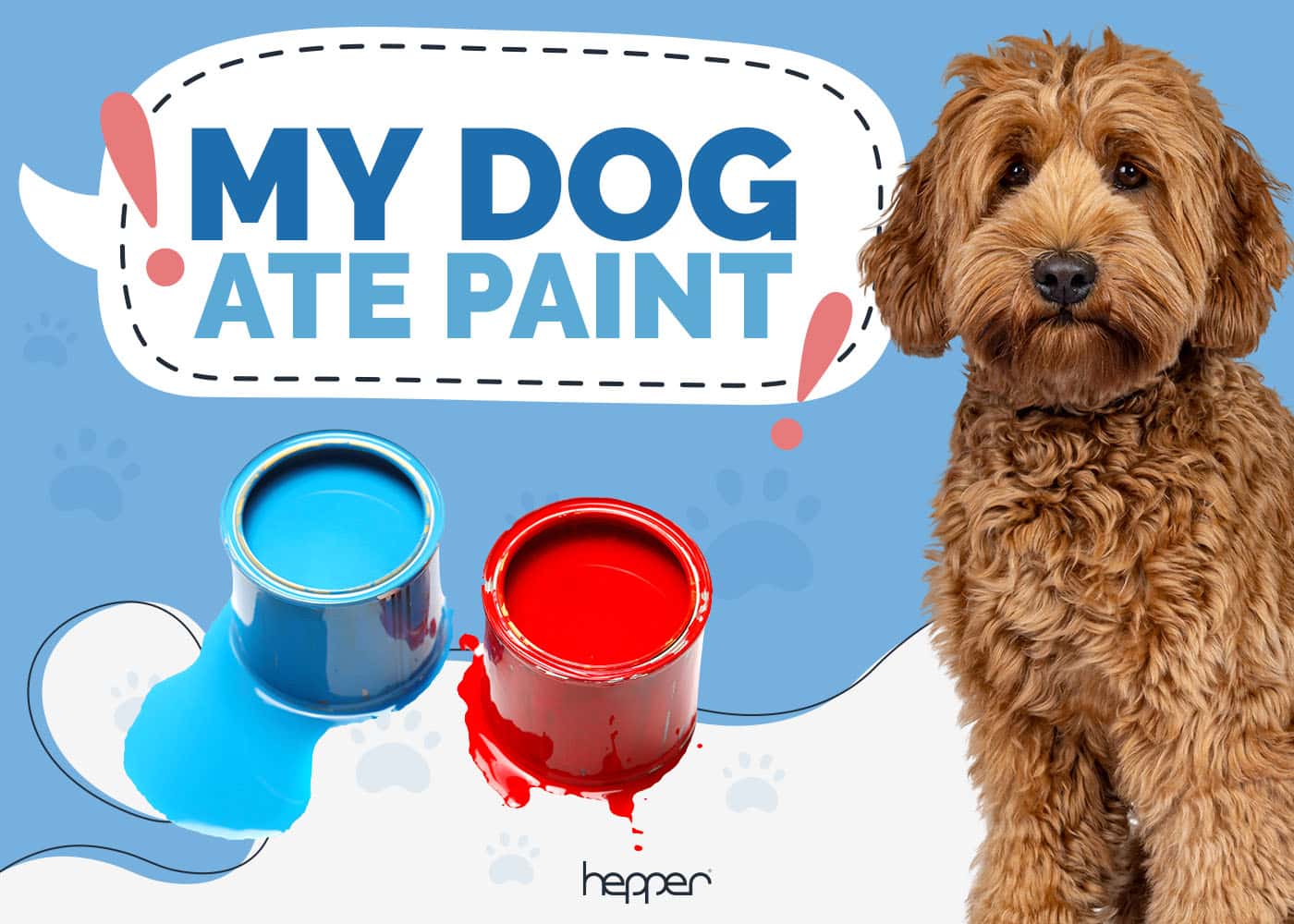 My Dog Ate Paint! What Should I Do Now? (Vet Answer)